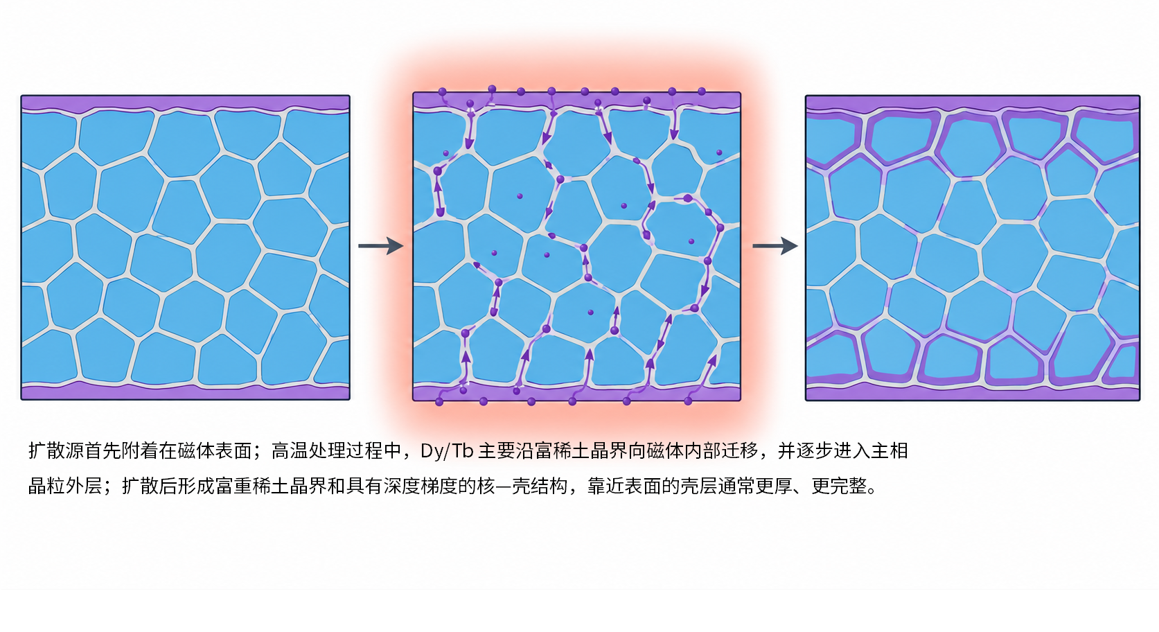 GBDP扩散过程与核壳形成.png