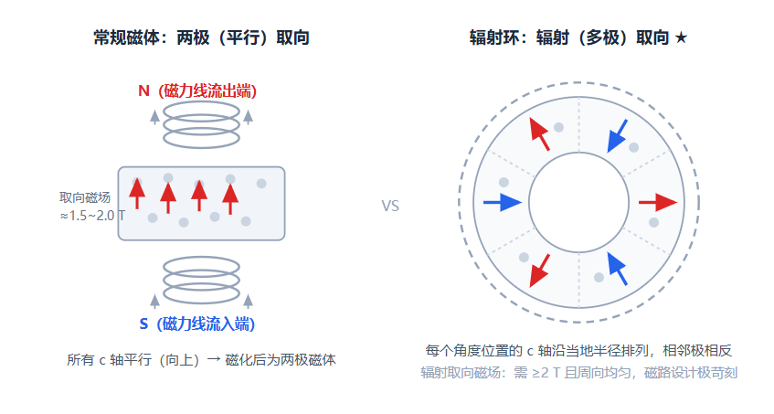 两极取向 vs 辐射取向压制原理。左：螺线管轴竖直、线圈位于压坯上下方，管内磁场向上（S&rarr;N），磁粉 c 轴平行排列；右：辐射取向要求取向磁场本身呈多极辐射分布，各极内 c 轴方向一致、相邻极相反。.png